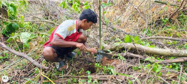 Training Program Image 3