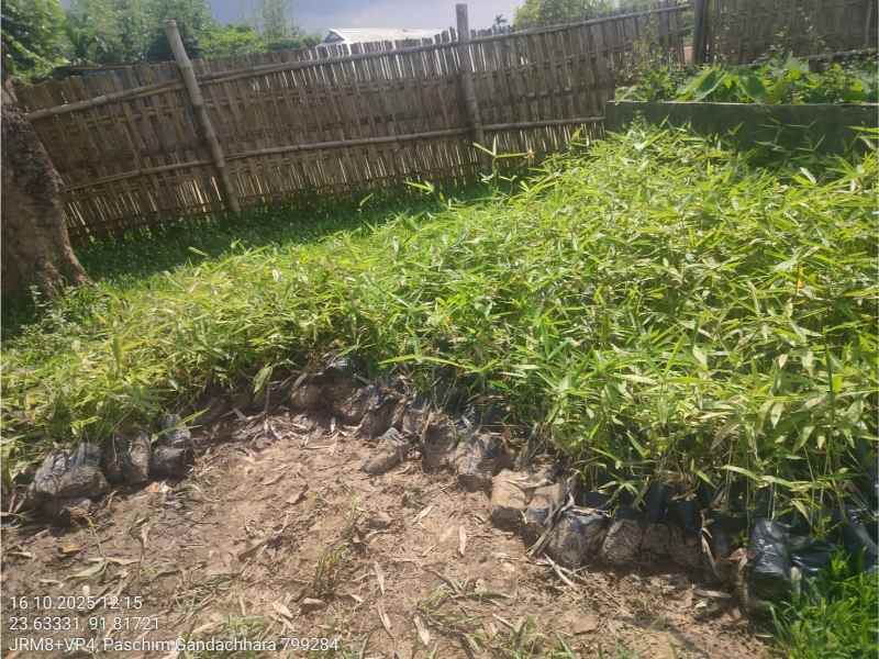 Training Program Image 32