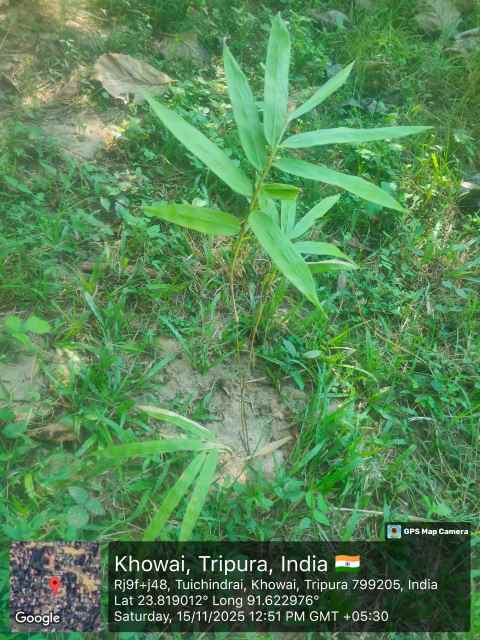 Training Program Image 39