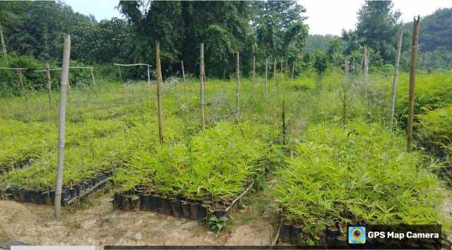 Training Program Image 46