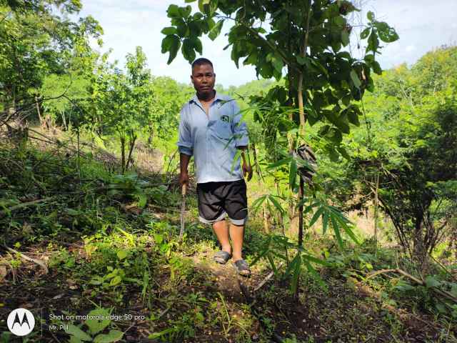 Training Program Image 5