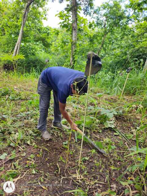 Training Program Image 6