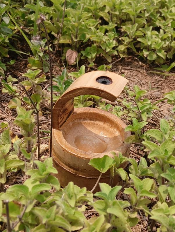 Bamboo Products Image 77